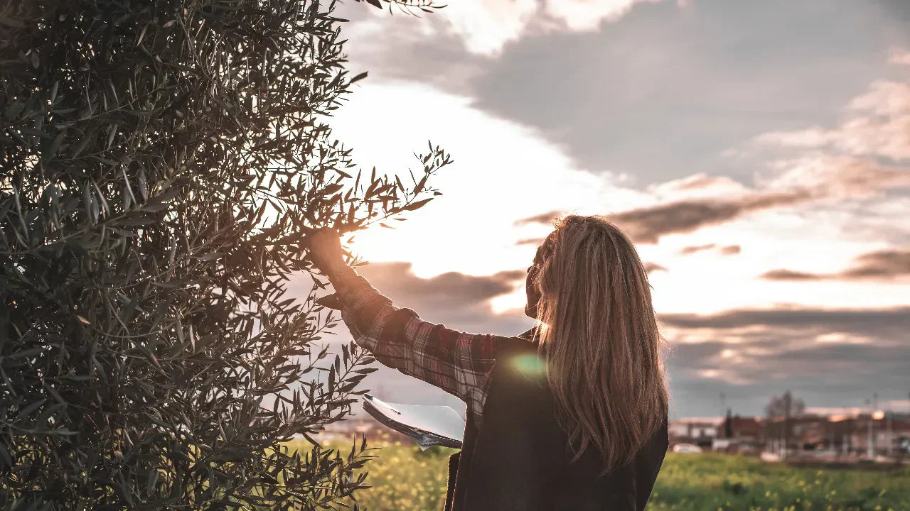 Beneficios del aceite Arbequina para la piel