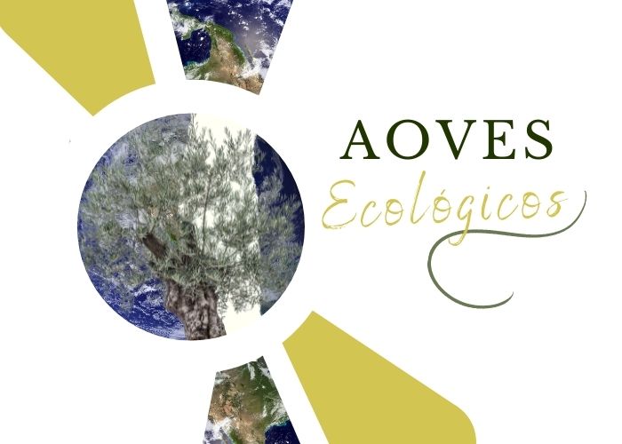 Los mejores AOVE ecológicos de España