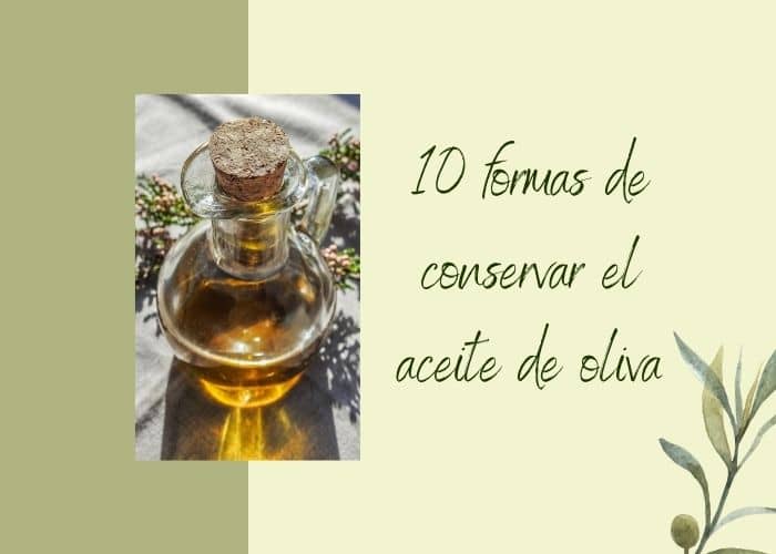 10 formas de conservar el Aceite de oliva