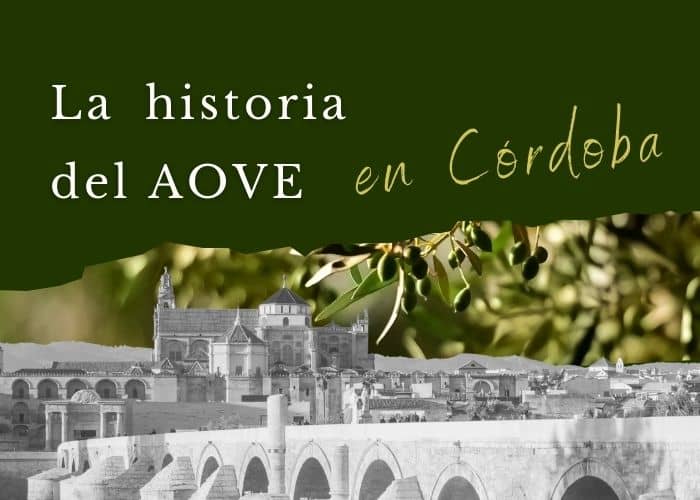 Historia del aceite de oliva en Córdoba