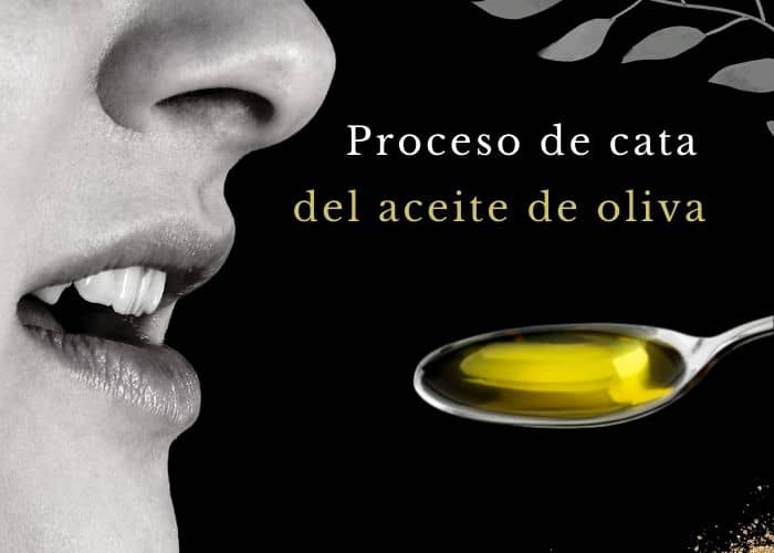 Proceso de cata del aceite de oliva