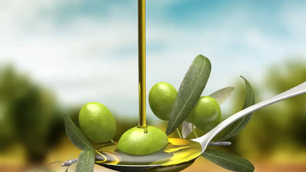 Aceite Hojiblanca de prensado en frío