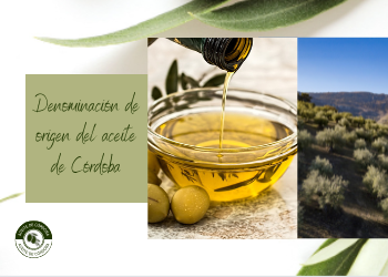 Las 4 Denominaciones de Origen del aceite de Córdoba