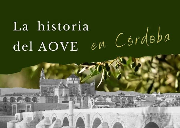 Historia del aceite de oliva en Córdoba