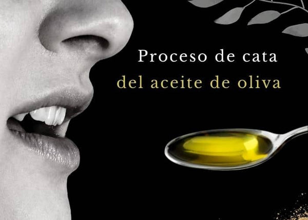Proceso de cata del aceite de oliva